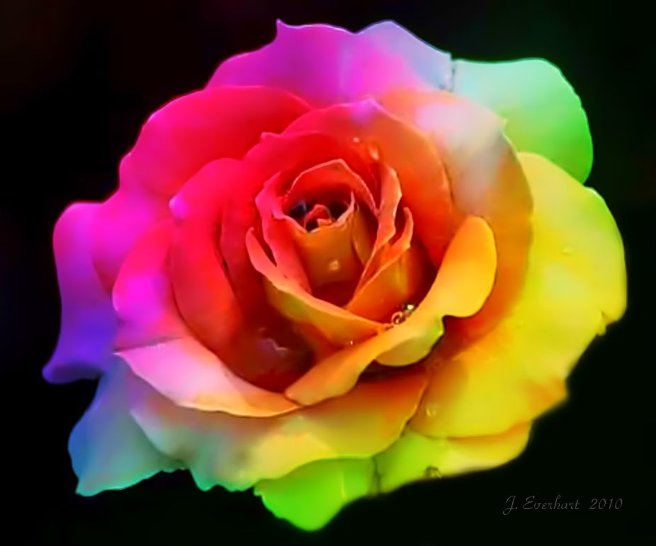 Rainbow Beauty by julieeverhart - VIEWBUG.com