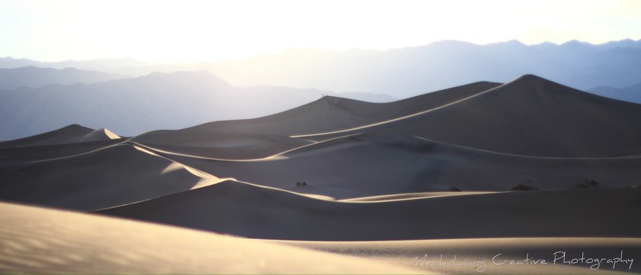 Mesquite Sand Dunes by marklaing - VIEWBUG.com