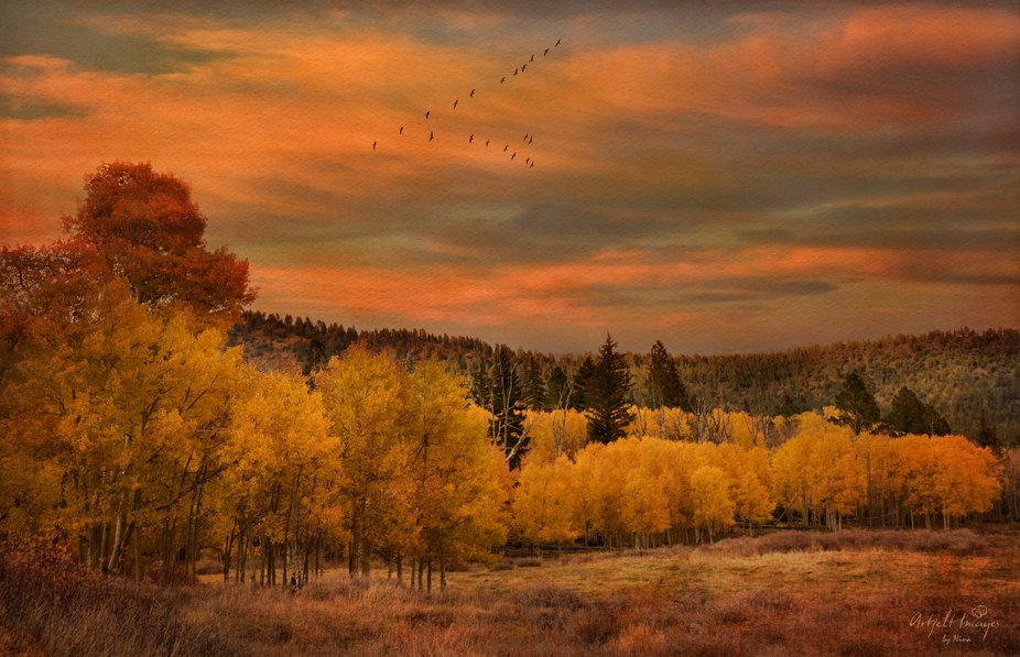 Autumn's Color Palette by nina050 - ViewBug.com