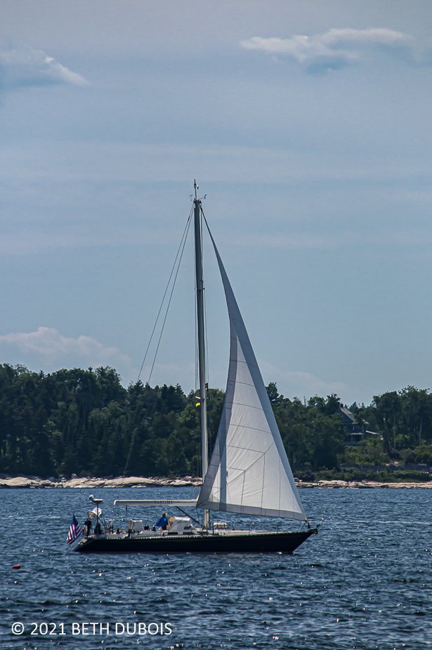 small single mast sailboat